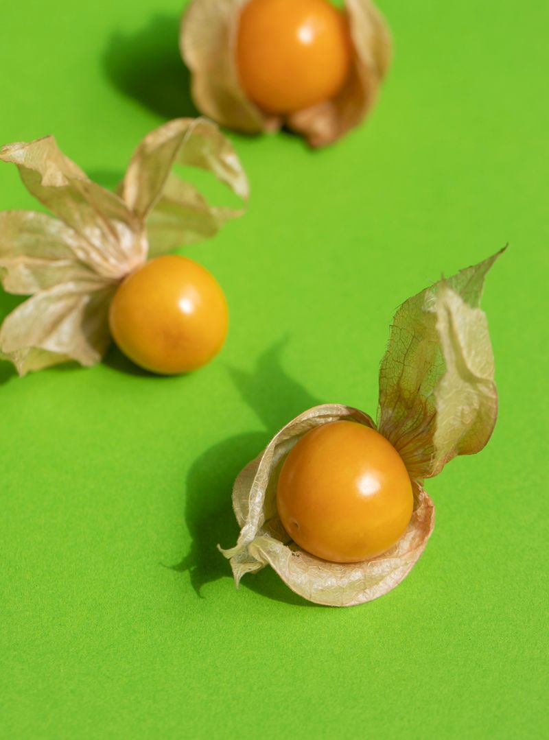 Skladování jalapeños